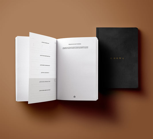 Diario Chōwa: Nueva Edición